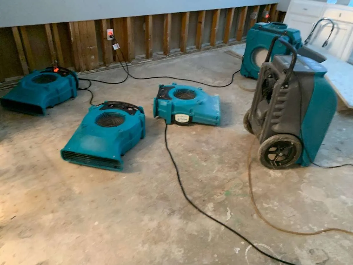 Odor Removal & Deodorization in Genesee, MI